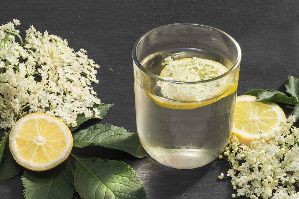 Hyldeblomstsaft i glas med cintronskiver